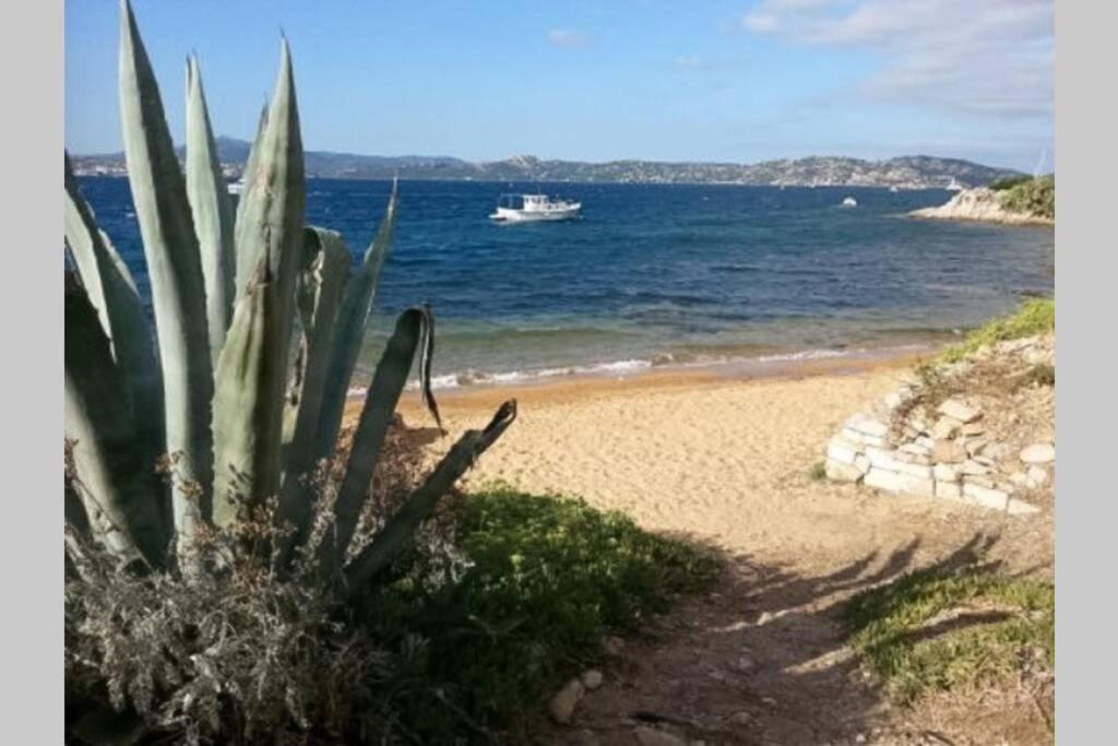 Apartamento Casa Maddalenina Con Giardino, Vicino Al Mare! La Maddalena  Exterior foto
